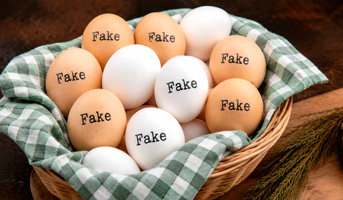 Anvisa desmente fake news e reforça segurança da cadeia brasileira de produção de ovos