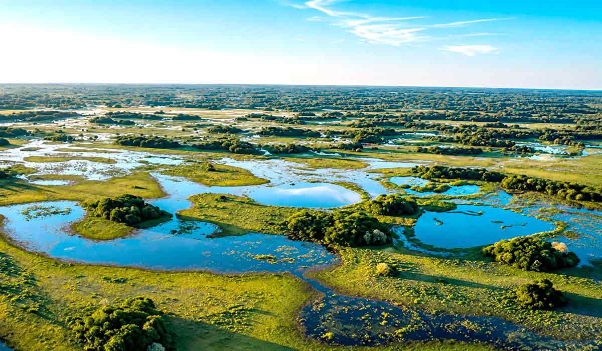 Perda da savana alagada revela mudanças profundas na dinâmica hídrica do Pantanal