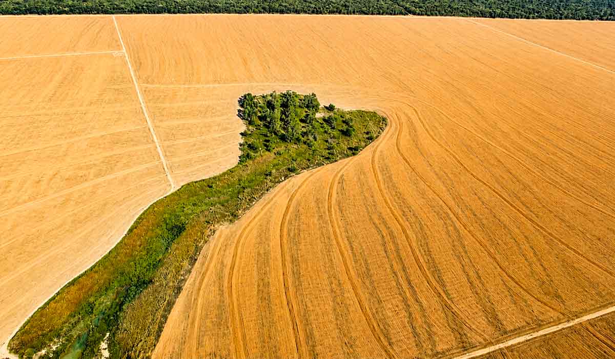 A redução das áreas úmidas está associada tanto à variabilidade climática quanto a transformações provocadas pela ocupação humana - Foto: Riccardo Pravettoni/Grid-Arental A redução das áreas úmidas está associada tanto à variabilidade climática quanto a transformações provocadas pela ocupação humana - Foto: Riccardo Pravettoni/Grid-Arental