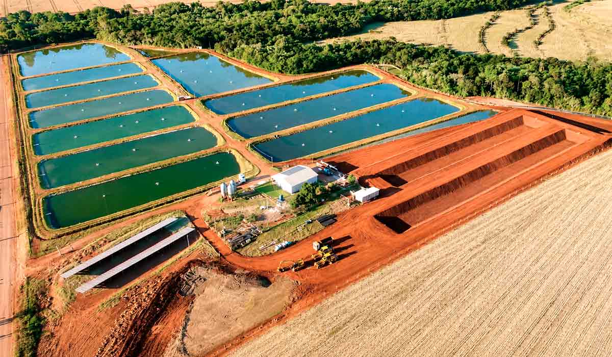 Expansão da piscicultura no Paraná coloca regularidade ambiental no centro das decisões. Na foto, a propriedade de Lincoln Douglas Silva, de Terra Roxa (PR), que contratou um engenheiro especializado para implantação da piscicultura, em sistema de tanques escavados Expansão da piscicultura no Paraná coloca regularidade ambiental no centro das decisões. Na foto, a propriedade de Lincoln Douglas Silva, de Terra Roxa (PR), que contratou um engenheiro especializado para implantação da piscicultura, em sistema de tanques escavados