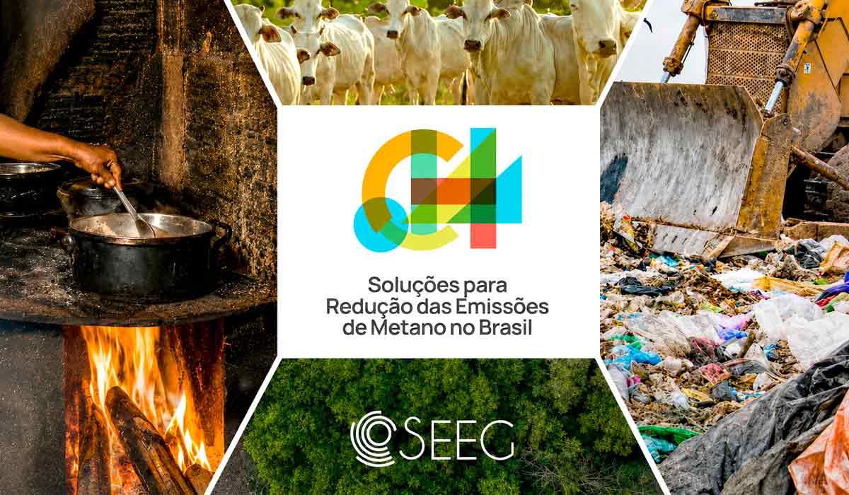 Metano na agropecuária: relatório reúne 15 propostas para reduzir emissões no Brasil