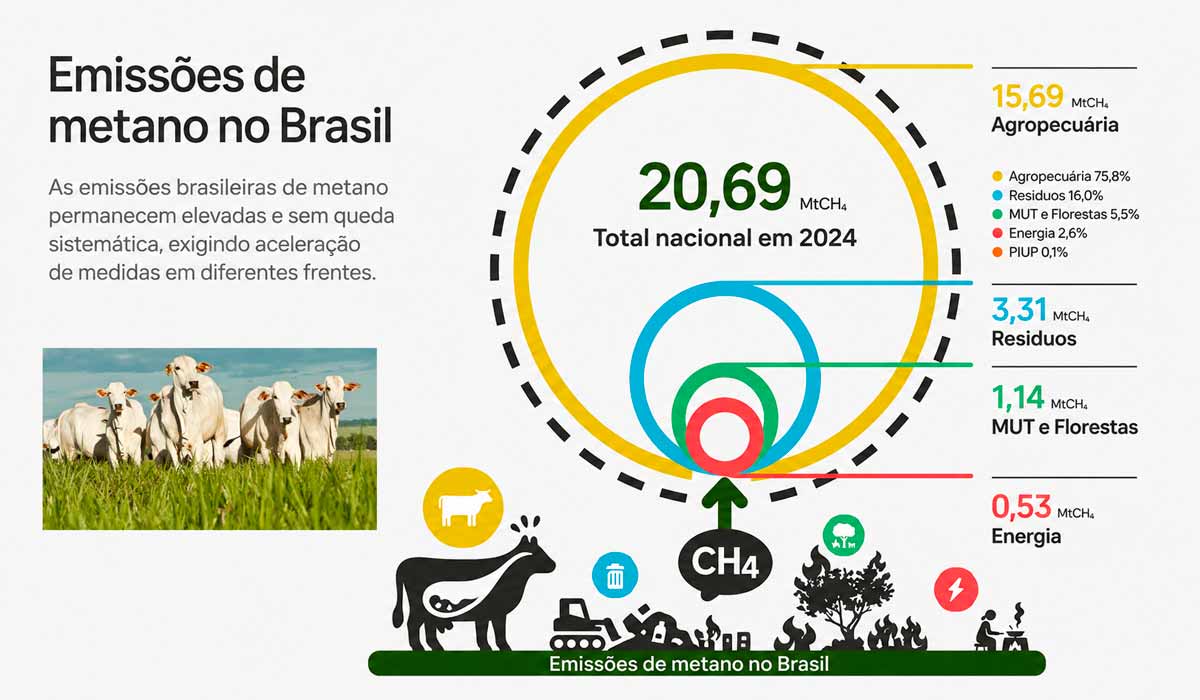 Pecuária brasileira concentra mais de 75,8% das emissões de metano da agropecuária Pecuária brasileira concentra mais de 75,8% das emissões de metano da agropecuária