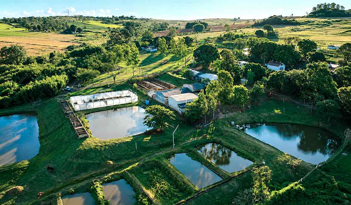 A Estação Experimental de Piscicultura da Universidade Estadual de Maringá (UEM), localizada no distrito de Floriano, a 20 quilômetros de Maringá, desenvolve desde 1996 abriga o primeiro centro público da América Latina de pesquisa sobre melhoramento genético de Tilápias do Nilo, o programa Tilápia Tilamax A Estação Experimental de Piscicultura da Universidade Estadual de Maringá (UEM), localizada no distrito de Floriano, a 20 quilômetros de Maringá, desenvolve desde 1996 abriga o primeiro centro público da América Latina de pesquisa sobre melhoramento genético de Tilápias do Nilo, o programa Tilápia Tilamax