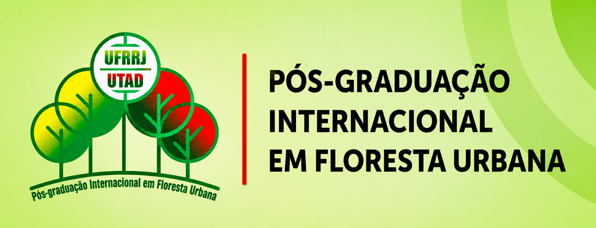 Curso internacional reúne conhecimento acadêmico e prática para qualificar a gestão da arborização nas cidades