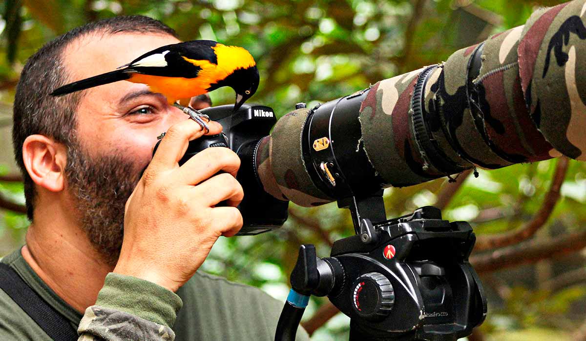 O fotógrafo de natureza Leonardo Merçon com um corrupião (Icterus jamacaii) como acompanhante na sua atividade de observação de aves (birdwatching) O fotógrafo de natureza Leonardo Merçon com um corrupião (Icterus jamacaii) como acompanhante na sua atividade de observação de aves (birdwatching)