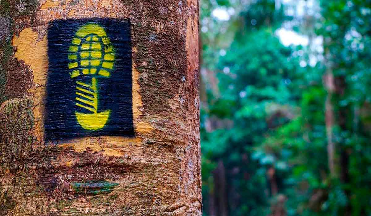 Unesco abre edital para qualificar experiências turísticas e ampliar o turismo sustentável no Brasil. Natureza, cultura e comunidades estão entre os focos