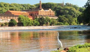 Cartilha da Esalq aproxima estudantes da conservação do Rio Piracicaba por meio da educação ambiental