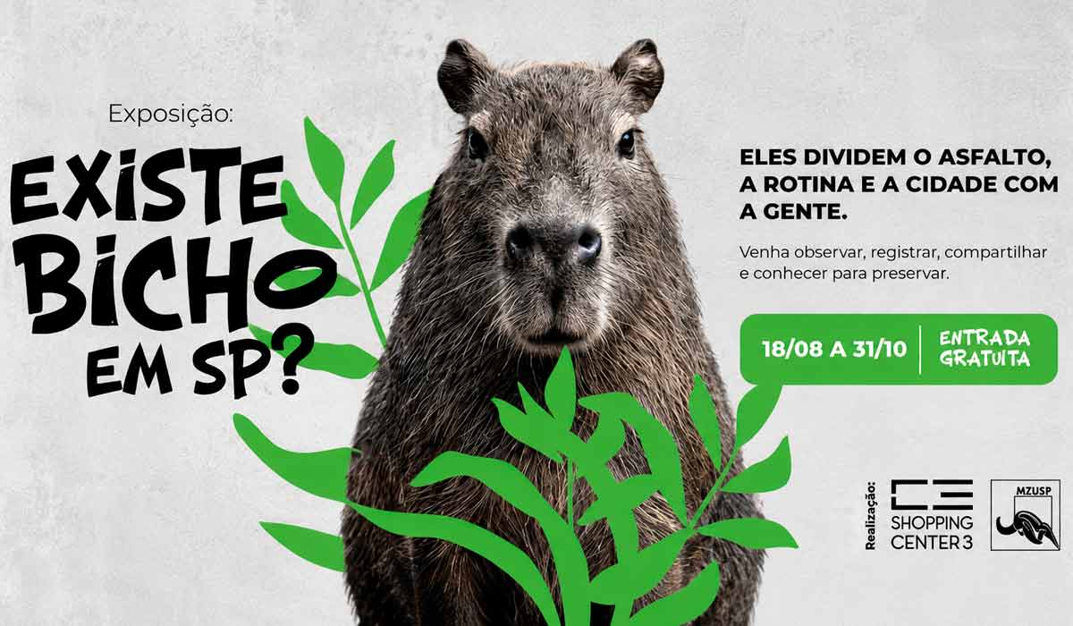 Conhecer a fauna urbana é fundamental para ampliar ações de conservação nas cidades Conhecer a fauna urbana é fundamental para ampliar ações de conservação nas cidades