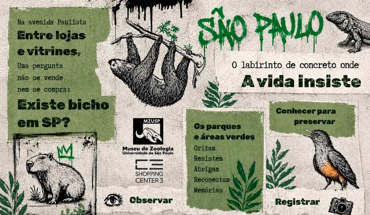 Fauna urbana de São Paulo ganha destaque em exposição do Museu de Zoologia da USP