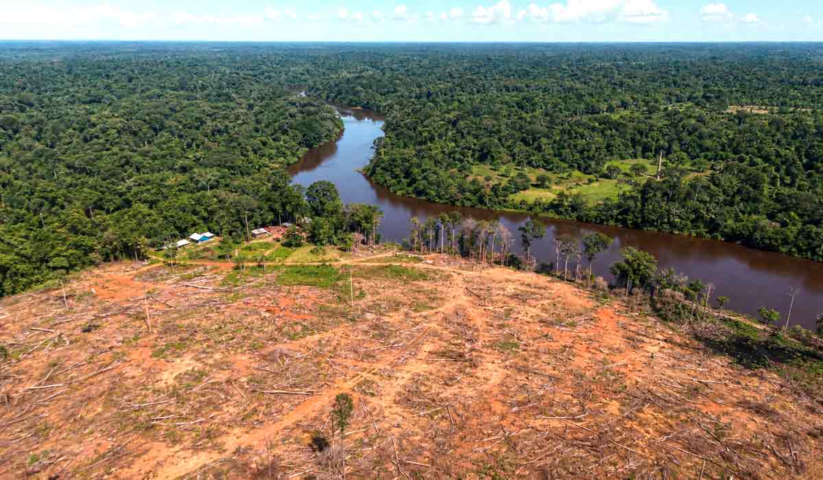 Vista aérea da fronteira de desmatamento na Amazônia, com área de floresta preservada ao fundo, terra aberta em primeiro plano e um rio serpenteando, sob céu azul de dia claro