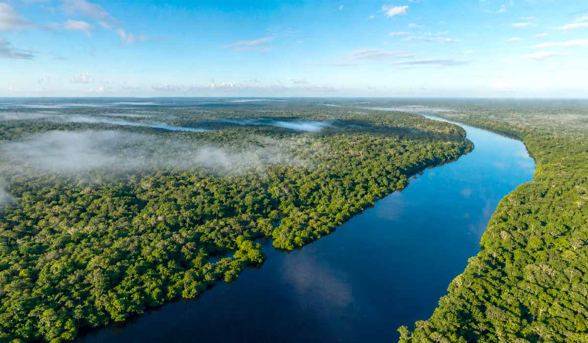 Vista aérea da floresta amazônica com rio sinuoso e névoa sobre o dossel
