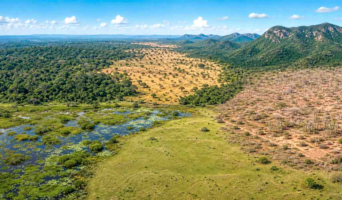Mosaico panorâmico dos seis biomas brasileiros em um único quadro: floresta amazônica, cerrado, mata atlântica, caatinga, pantanal e pampa, revelando a diversidade do território nacional
