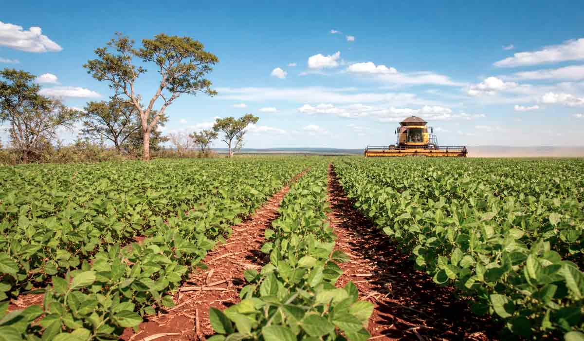 lavoura de soja com solo vermelho e vegetação nativa preservada lavoura de soja com solo vermelho e vegetação nativa preservada