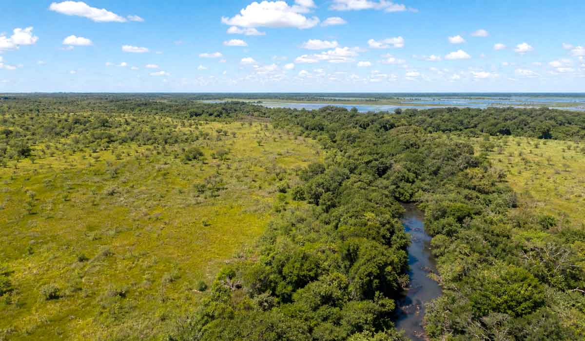 Paisagem do Polo Socioambiental Sesc Pantanal, conjunto de áreas protegidas que soma 117 mil hectares de preservação Paisagem do Polo Socioambiental Sesc Pantanal, conjunto de áreas protegidas que soma 117 mil hectares de preservação