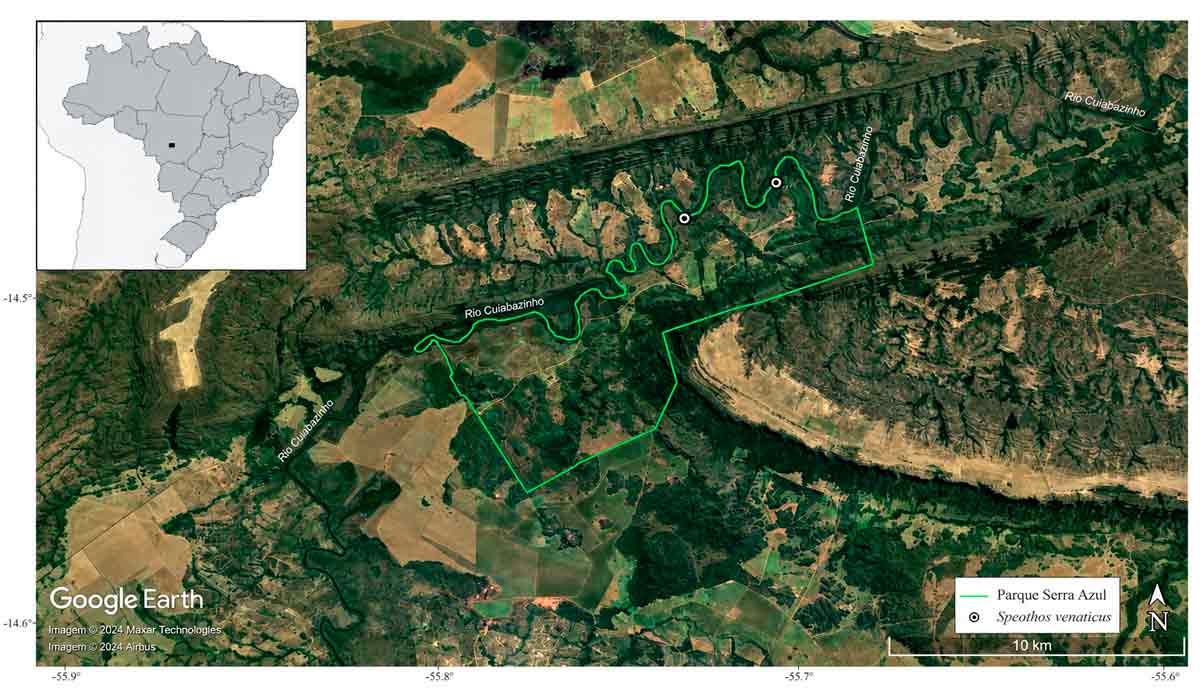 Mapa do Parque Sesc Serra Azul, Mato Grosso, oeste do Brasil, indicando os locais dos registros do cachorro-vinagre (Speothos venaticus) obtidos no estudo Mapa do Parque Sesc Serra Azul, Mato Grosso, oeste do Brasil, indicando os locais dos registros do cachorro-vinagre (Speothos venaticus) obtidos no estudo