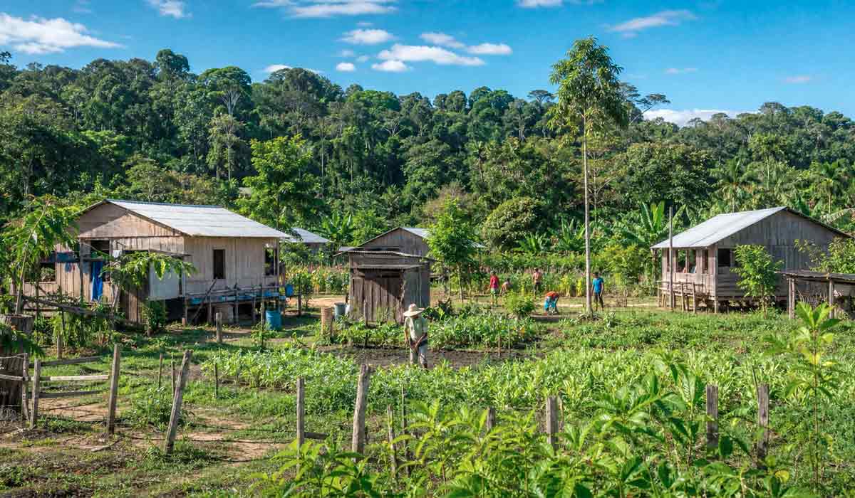 Pequenos agricultores em assentamento rural, grupo que respondeu por 11 das 26 mortes registradas no ano Pequenos agricultores em assentamento rural, grupo que respondeu por 11 das 26 mortes registradas no ano