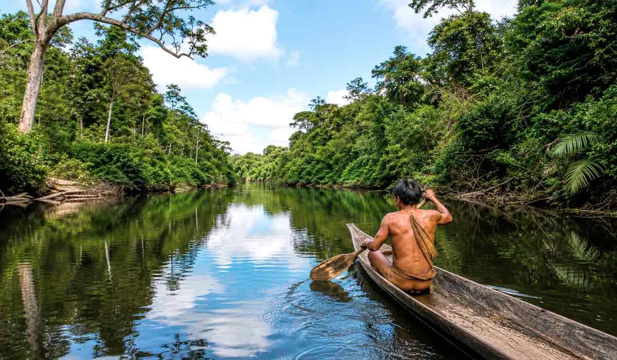 Território indígena na Amazônia com floresta preservada. Os povos originários enfrentam pressão de atividades ilegais Território indígena na Amazônia com floresta preservada. Os povos originários enfrentam pressão de atividades ilegais