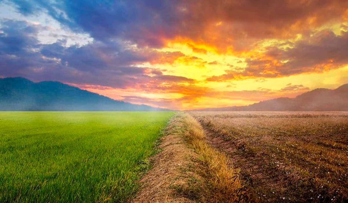 Safra 2026/27: adaptação climática entra no centro das decisões do campo