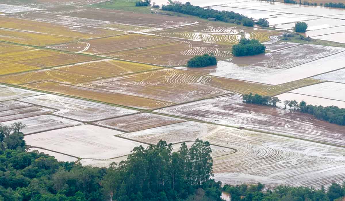 Historicamente, o fenômeno do El Niño está associado à redução das chuvas no norte e nordeste, enquanto aumenta os volumes no sul - Foto: Maurício Tonetto/Secom-RS Historicamente, o fenômeno do El Niño está associado à redução das chuvas no norte e nordeste, enquanto aumenta os volumes no sul - Foto: Maurício Tonetto/Secom-RS