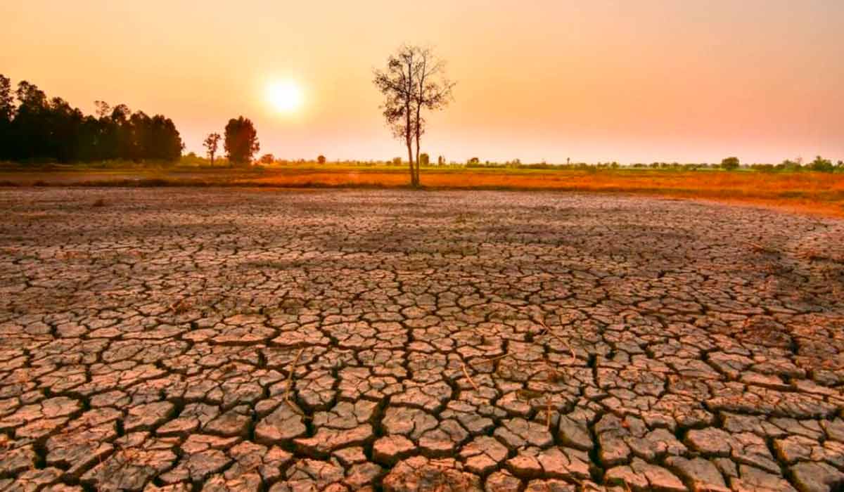 No norte e no nordeste, a tendência é de redução das chuvas e aumento do risco de seca. No centro-oeste, pode haver atraso no início da estação chuvosa e mais ondas de calor. No sudeste, a expectativa é de temperaturas elevadas e maior irregularidade das chuvas No norte e no nordeste, a tendência é de redução das chuvas e aumento do risco de seca. No centro-oeste, pode haver atraso no início da estação chuvosa e mais ondas de calor. No sudeste, a expectativa é de temperaturas elevadas e maior irregularidade das chuvas
