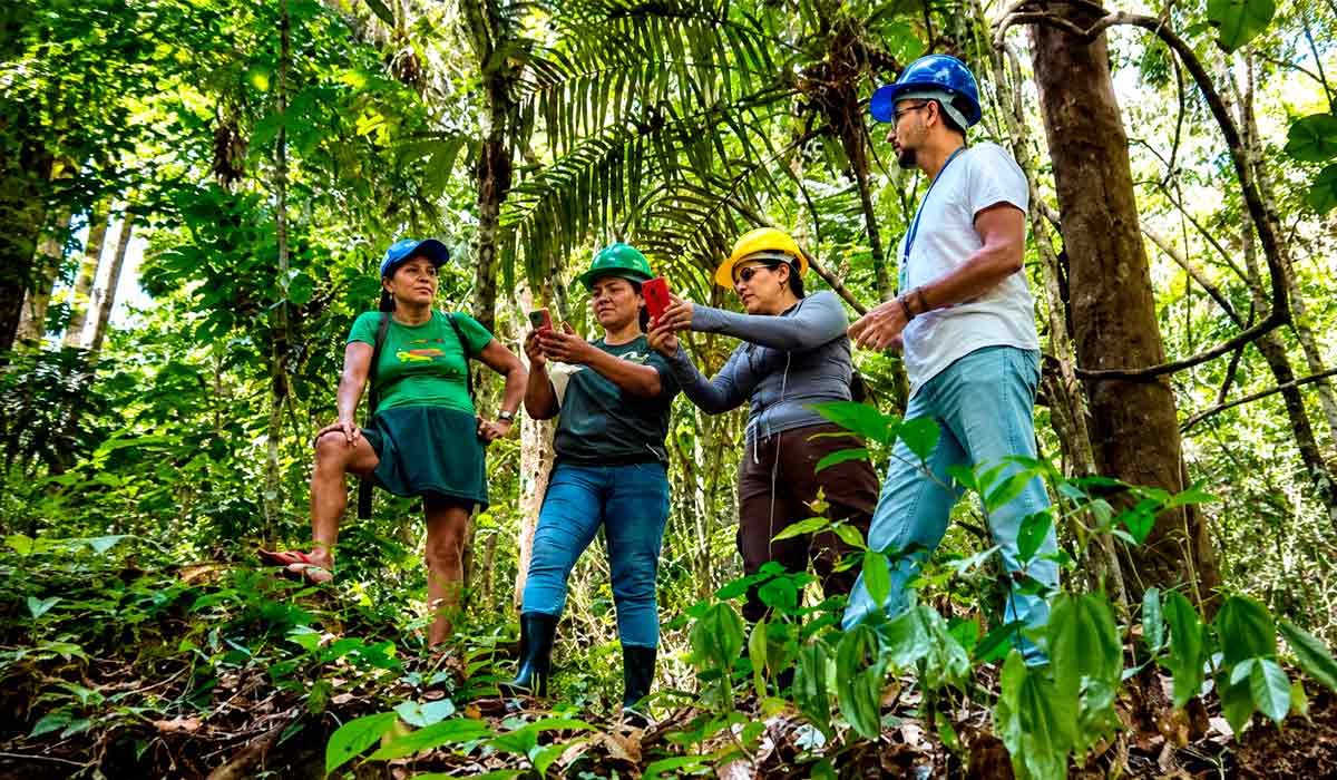 Coletadoras mapeiam trilhas no aplicativo para localizar castanheiras na floresta e organizar a coleta - Foto: Maurícilia Pereira Coletadoras mapeiam trilhas no aplicativo para localizar castanheiras na floresta e organizar a coleta - Foto: Maurícilia Pereira