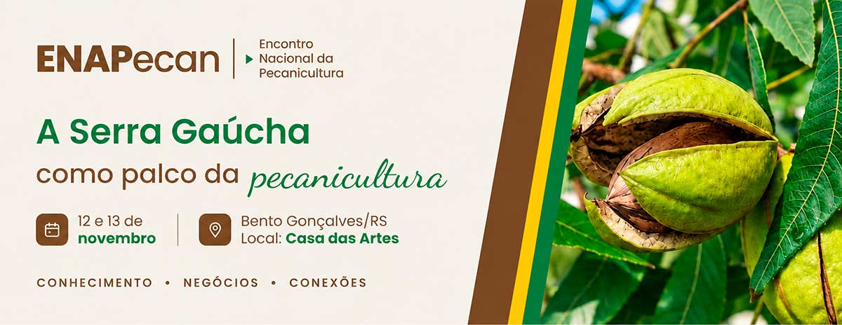 Com safra recorde projetada, pecanicultura gaúcha prepara-se para receber a cadeia nacional da noz-pecã no ENAPecan 2026, em Bento Gonçalves Com safra recorde projetada, pecanicultura gaúcha prepara-se para receber a cadeia nacional da noz-pecã no ENAPecan 2026, em Bento Gonçalves