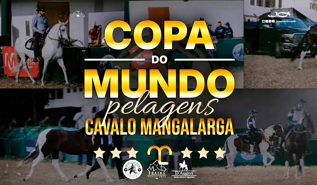 Cavalos da raça Mangalarga brilham no interior paulista, onde a Copa do Mundo de Pelagens celebra genética, marcha e tradição Cavalos da raça Mangalarga brilham no interior paulista, onde a Copa do Mundo de Pelagens celebra genética, marcha e tradição