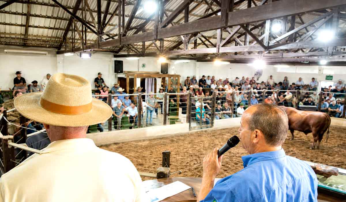 Público de pecuaristas acompanha leilão de reprodutores bovinos na área de remates da exposição Público de pecuaristas acompanha leilão de reprodutores bovinos na área de remates da exposição