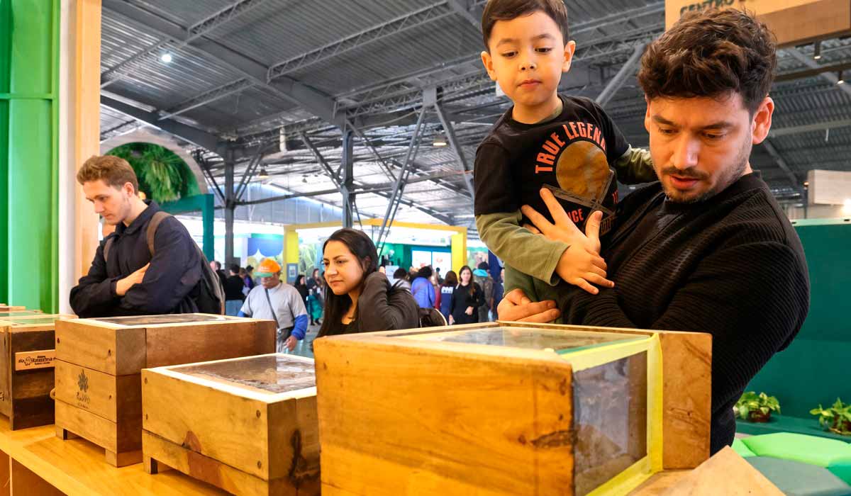 Espaços educativos da Expointer aproximam consumidores e produtores do universo das abelhas nativas Espaços educativos da Expointer aproximam consumidores e produtores do universo das abelhas nativas