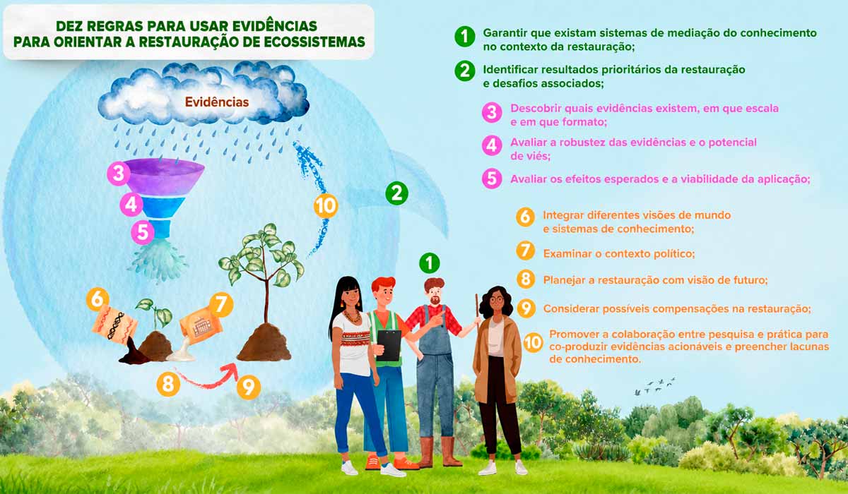 As dez regras para transformar ciência em restauração eficaz e negócio sustentável As dez regras para transformar ciência em restauração eficaz e negócio sustentável