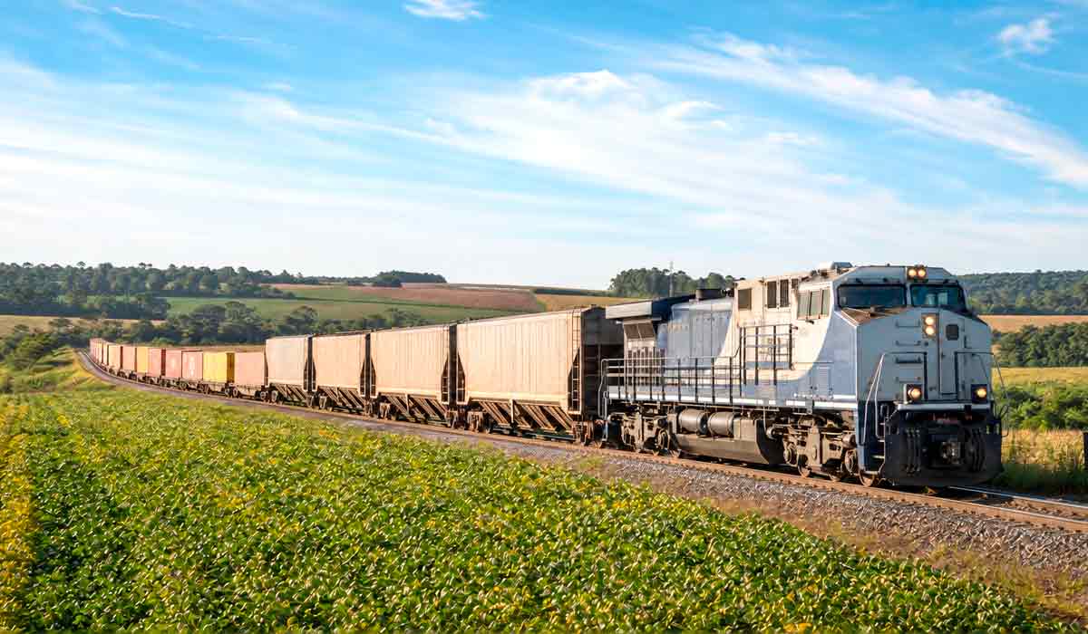 Chamamento público abre caminho para novos operadores ferroviários e reativação de trilhos ociosos pode baratear o frete dos grãos Chamamento público abre caminho para novos operadores ferroviários e reativação de trilhos ociosos pode baratear o frete dos grãos