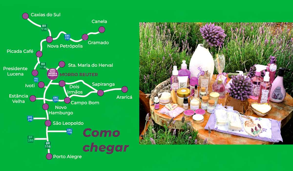 Visitantes conhecem produtos coloniais e derivados de lavanda na vitrine econômica que consolida Morro Reuter como capital nacional da planta