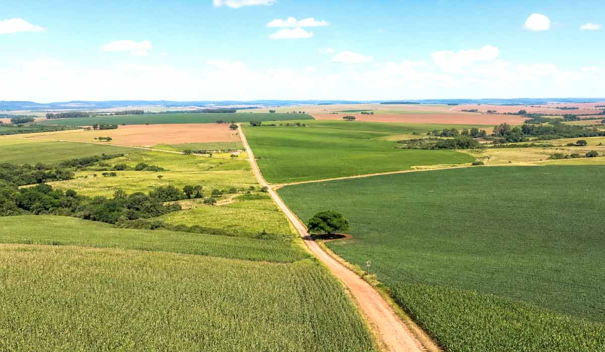 Do alto, a paisagem rural revela a escala do desafio: lavouras e pastagens expostas à expansão contínua dos javalis Do alto, a paisagem rural revela a escala do desafio: lavouras e pastagens expostas à expansão contínua dos javalis