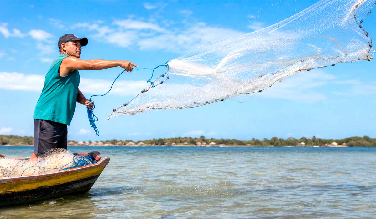 A tarrafa segue autorizada na Lagoa de Araruama fora do defeso para pescadores artesanais regulamentados. A prática exige obediência às normas de tamanho de malha e às restrições vigentes em cada município do entorno A tarrafa segue autorizada na Lagoa de Araruama fora do defeso para pescadores artesanais regulamentados. A prática exige obediência às normas de tamanho de malha e às restrições vigentes em cada município do entorno