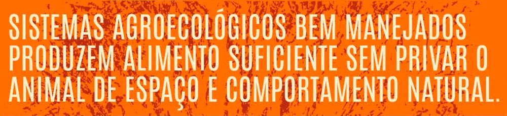 Agroecologia na prática conciliando competitividade e sustentabilidade no campo Agroecologia na prática conciliando competitividade e sustentabilidade no campo