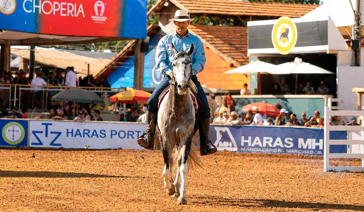 Marcha Picada reúne animais selecionados nos principais criatórios brasileiros e a pista funciona como referência para a seleção dos criatórios Marcha Picada reúne animais selecionados nos principais criatórios brasileiros e a pista funciona como referência para a seleção dos criatórios