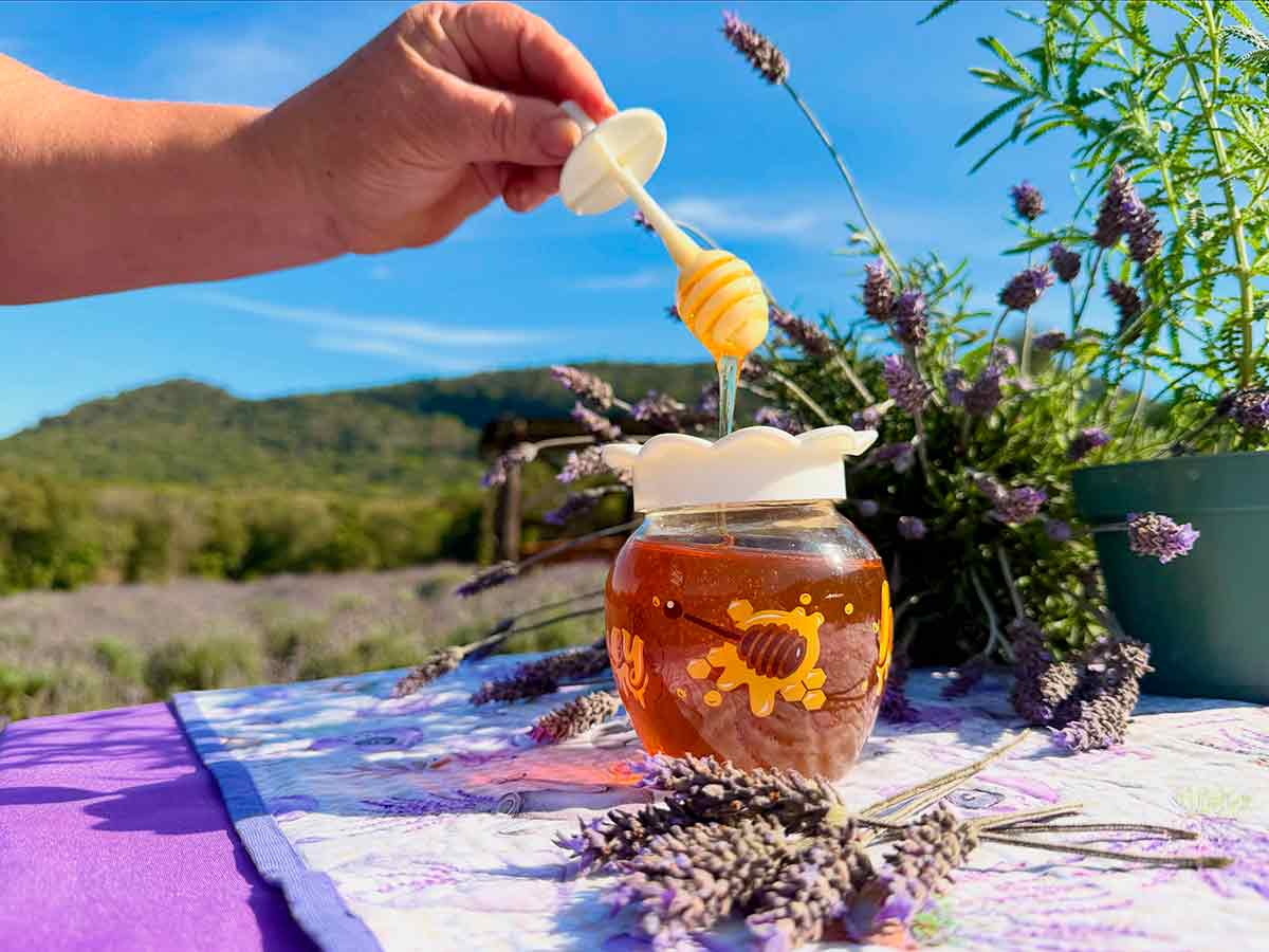 Produto certificado une apicultura e lavandicultura e se torna atração da Festa Nacional da Lavanda em outubro no município - Foto: Daniela Moraes/PMMR Produto certificado une apicultura e lavandicultura e se torna atração da Festa Nacional da Lavanda em outubro no município - Foto: Daniela Moraes/PMMR
