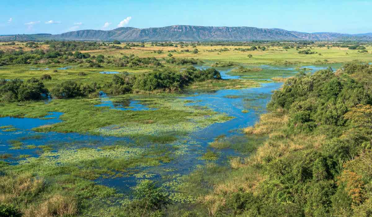 Salvaguardas recomendam avaliar impactos em toda a Bacia do Alto Paraguai
