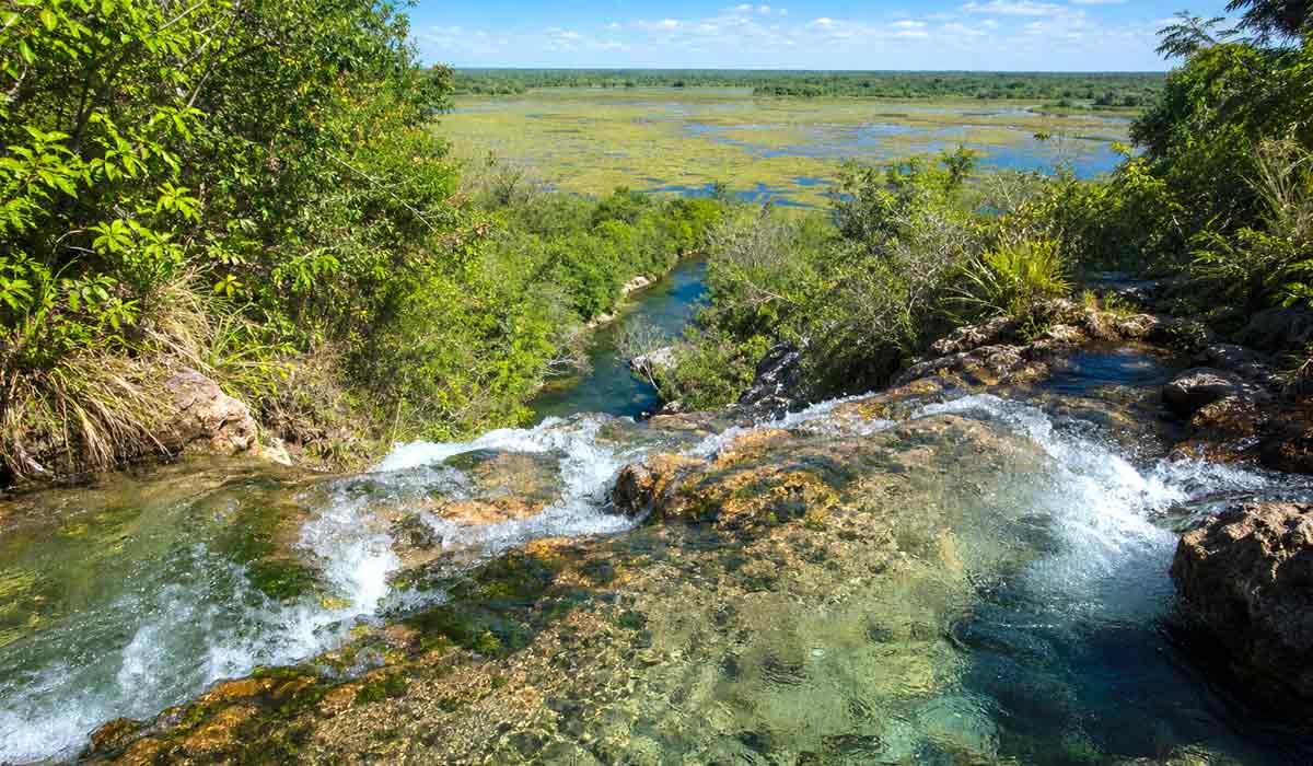A conexão entre nascentes do planalto e áreas alagáveis sustenta o equilíbrio hídrico do pantanal. A conservação das nascentes influencia diretamente a segurança hídrica da planície A conexão entre nascentes do planalto e áreas alagáveis sustenta o equilíbrio hídrico do pantanal. A conservação das nascentes influencia diretamente a segurança hídrica da planície