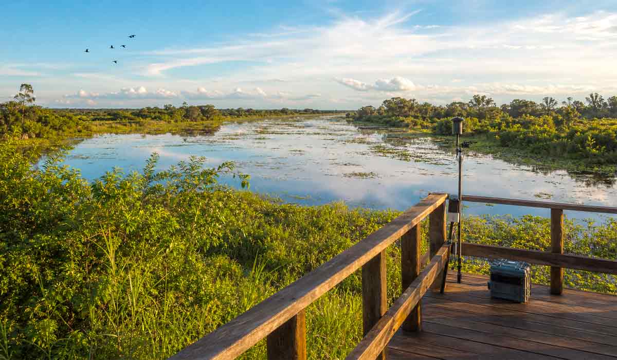 Monitoramento ambiental apoia respostas mais rápidas diante de riscos ao bioma e comunidades tradicionais contribuem para o conhecimento e a gestão dos territórios pantaneiros Monitoramento ambiental apoia respostas mais rápidas diante de riscos ao bioma e comunidades tradicionais contribuem para o conhecimento e a gestão dos territórios pantaneiros