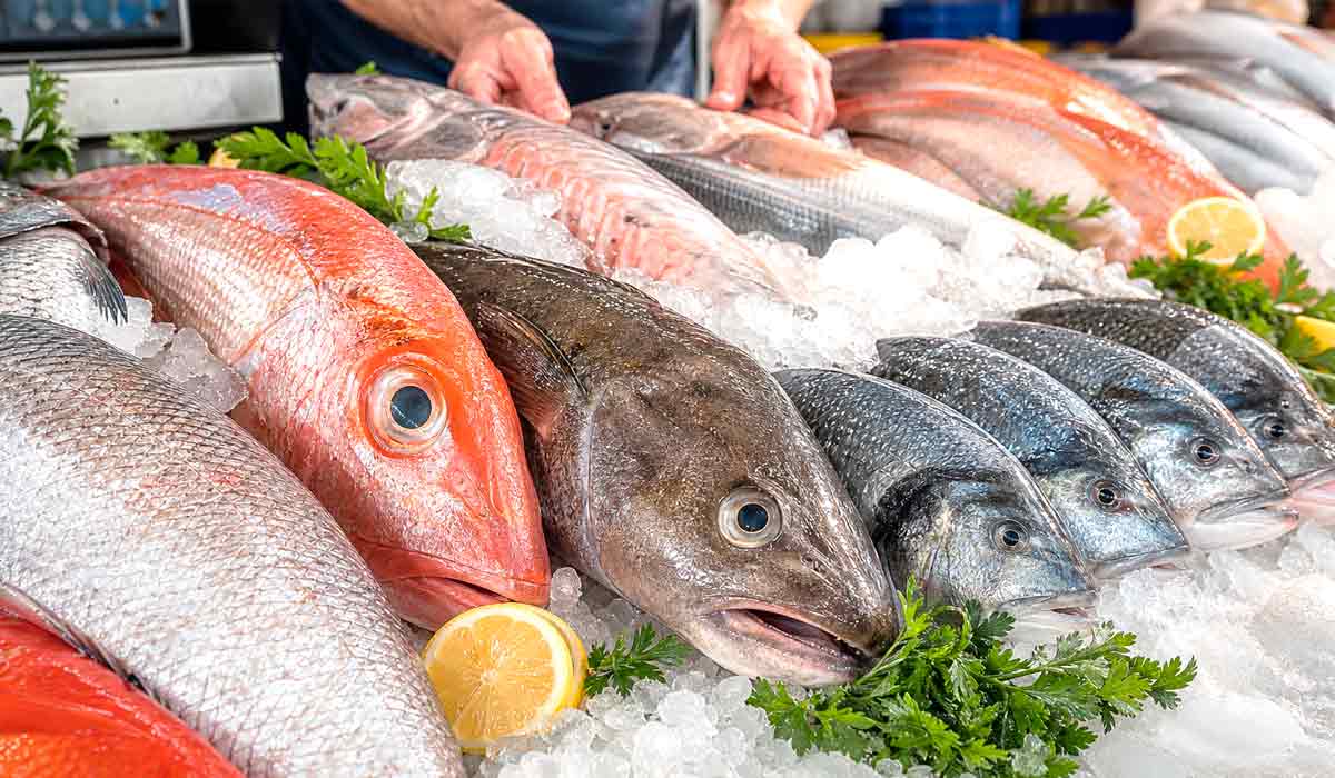 Cartilha orienta bares e restaurantes na compra e na conservação do pescado