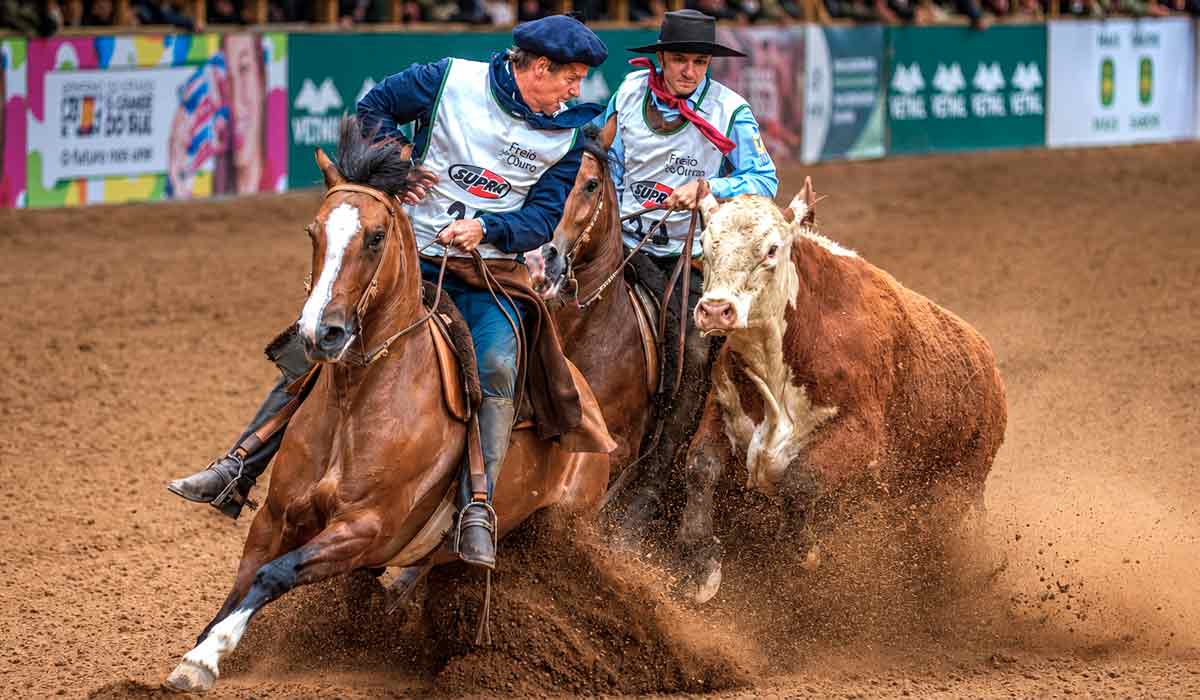 Freio de Ouro reúne desempenho funcional e qualidade morfológica Freio de Ouro reúne desempenho funcional e qualidade morfológica