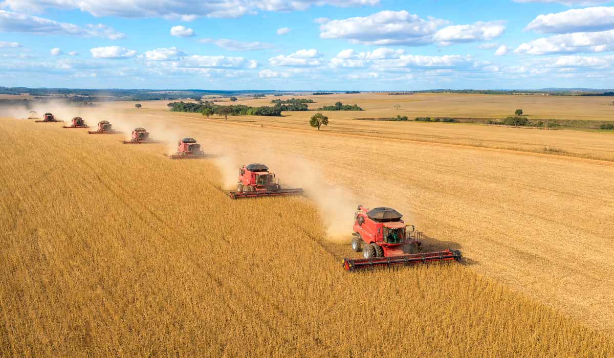 Lavoura de soja dourada no cerrado com colheitadeiras em ação, céu azul suave com poucas nuvens