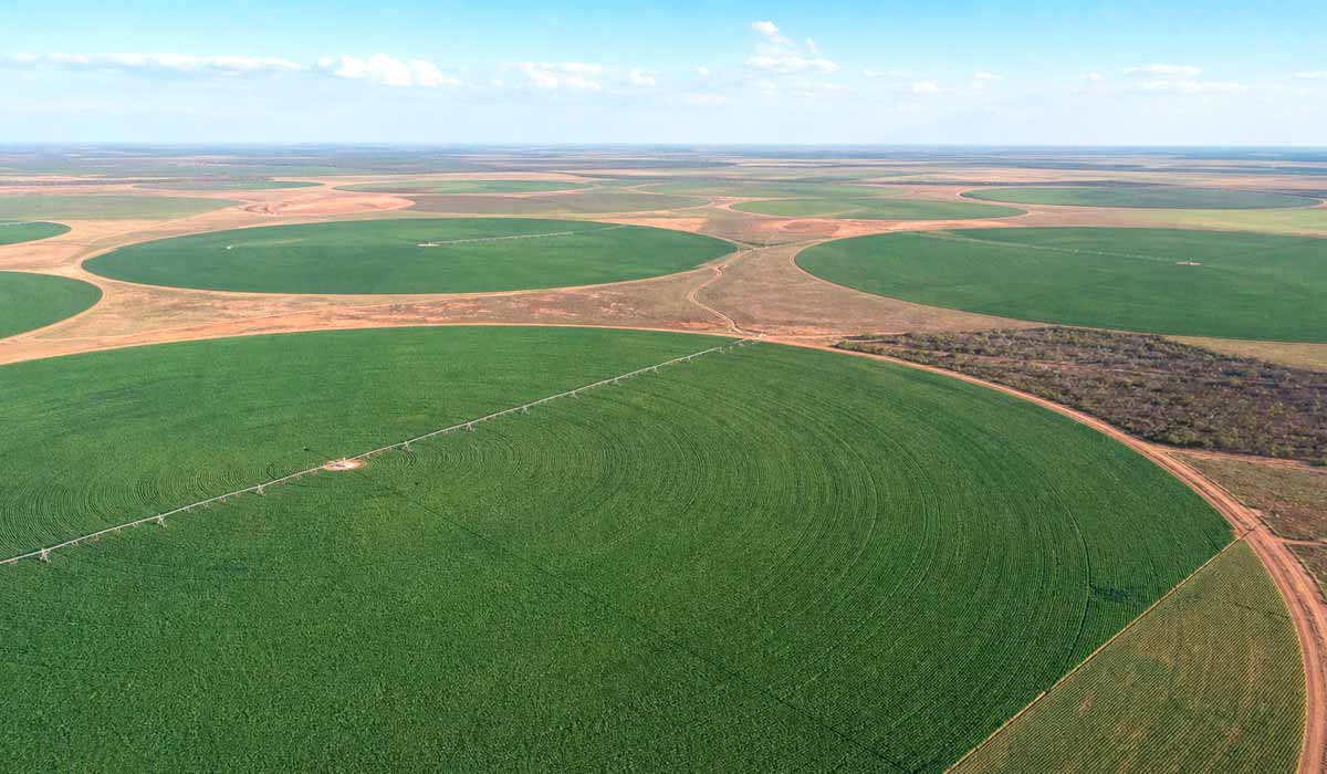 Pivôs centrais irrigam extensas áreas de cultivo no cerrado baiano, em pleno Matopiba Pivôs centrais irrigam extensas áreas de cultivo no cerrado baiano, em pleno Matopiba