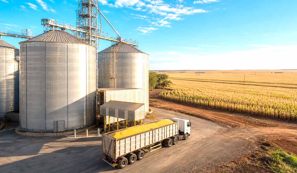 Silos metálicos de armazenagem de milho com caminhão carregando grãos e lavoura ao fundo