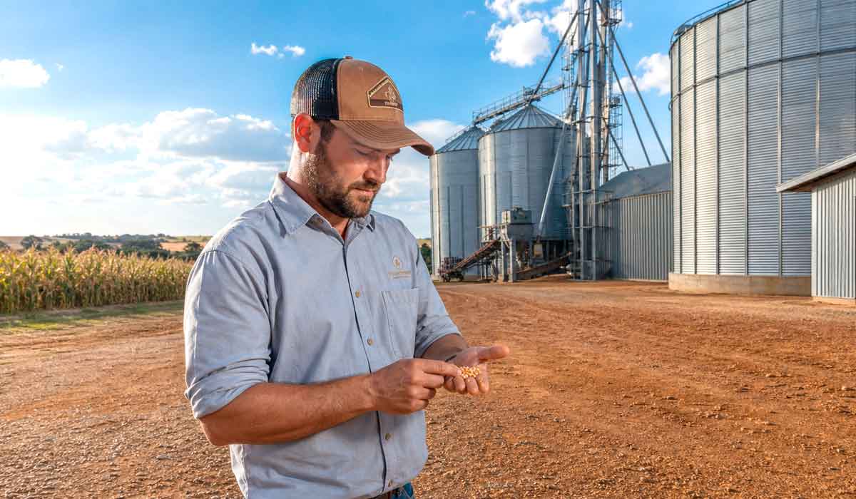 produtor inspecionando grãos junto aos silos (produtor inspecionando grãos junto aos silos