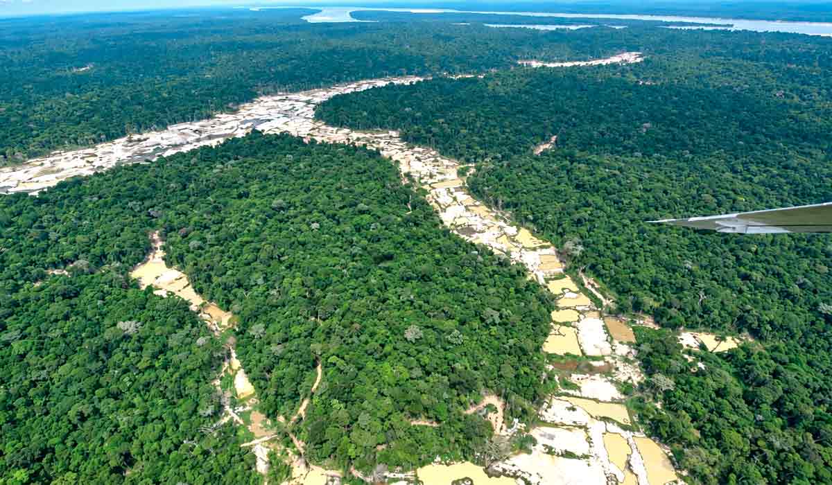 Garimpo ilegal de ouro segue na Terra Indígena Munduruku no Pará mesmo após operações de desintrusão, ameaçando a floresta e a saúde da população Garimpo ilegal de ouro segue na Terra Indígena Munduruku no Pará mesmo após operações de desintrusão, ameaçando a floresta e a saúde da população