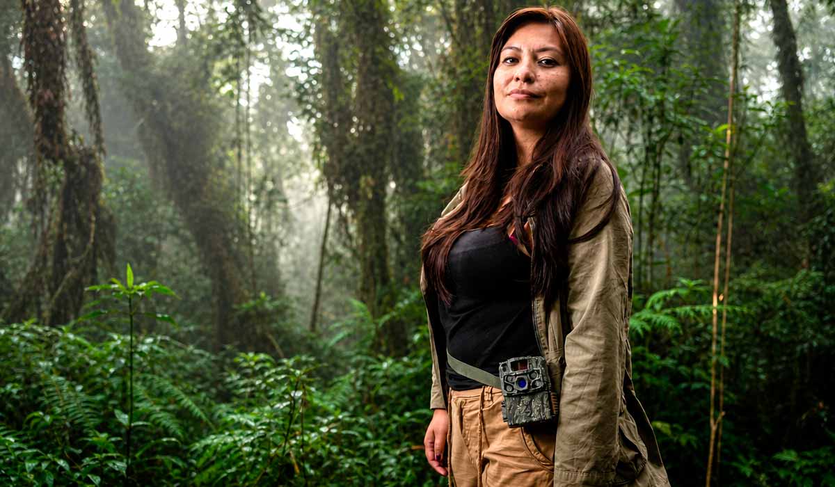 Paola Nogales Ascarrunz explora a floresta tropical de altitude da região de Yungas em busca de vestígios do pequeno felino e locais adequados para instalar armadilhas fotográficas - Foto - Fernando Faciole/National Geographic Paola Nogales Ascarrunz explora a floresta tropical de altitude da região de Yungas em busca de vestígios do pequeno felino e locais adequados para instalar armadilhas fotográficas - Foto - Fernando Faciole/National Geographic