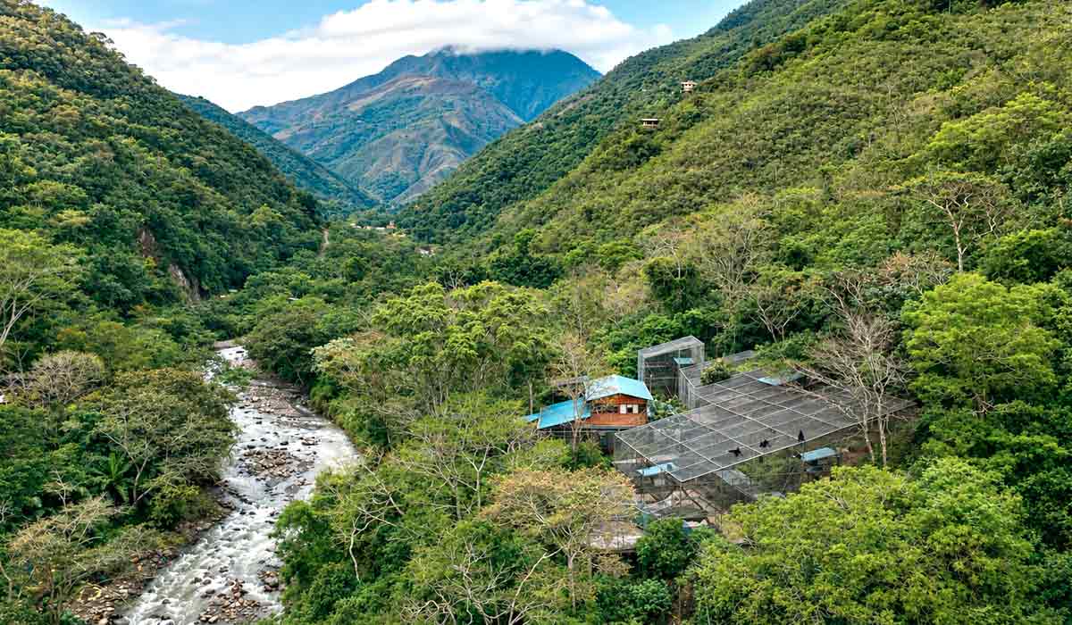 Vista aérea do Refúgio Animal Senda Verde, localizado às margens do rio Yolosa, na região de Yungas, Bolívia. O refúgio abriga o único tilcayo ( Leopardus tilcayo) em cativeiro conhecido e sob proteção - Foto - Fernando Faciole/National Geographic Vista aérea do Refúgio Animal Senda Verde, localizado às margens do rio Yolosa, na região de Yungas, Bolívia. O refúgio abriga o único tilcayo ( Leopardus tilcayo) em cativeiro conhecido e sob proteção - Foto - Fernando Faciole/National Geographic