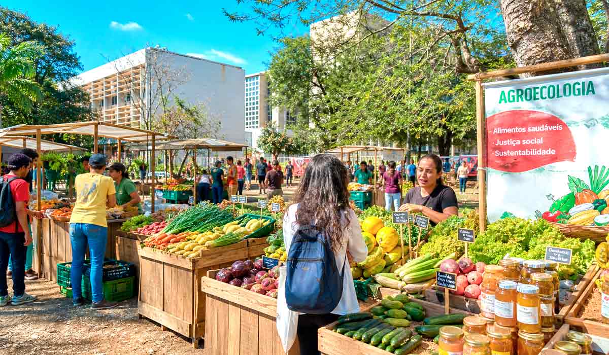 Feira de produtos agroecológicos da agricultura familiar será um dos destaques do Agroecol 2026, em Campo Grande Feira de produtos agroecológicos da agricultura familiar será um dos destaques do Agroecol 2026, em Campo Grande